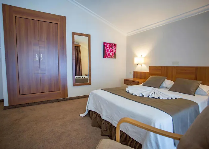 Hotel Melis